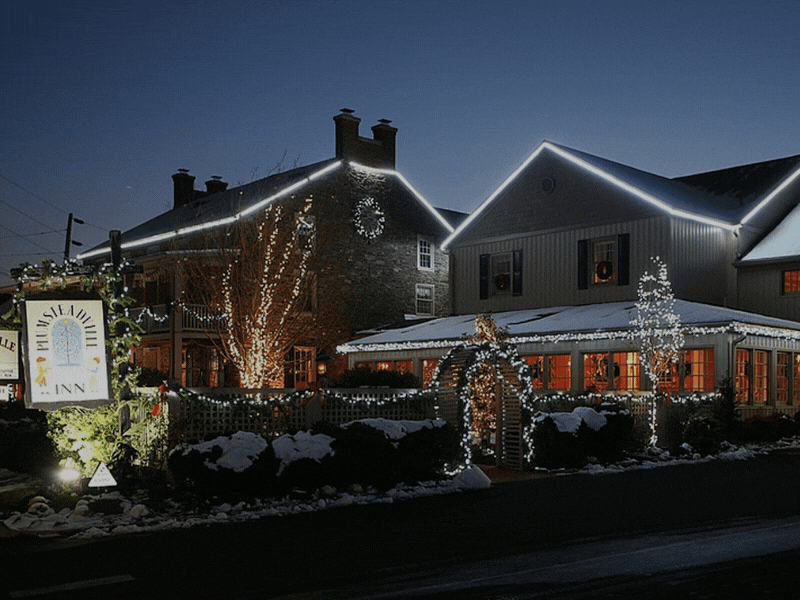 🍁 'Tis the Season to be Thankful 🦃