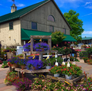Shady Brook Farm & Rose Bank Winery | Farm outings and winery experiences in Bucks County