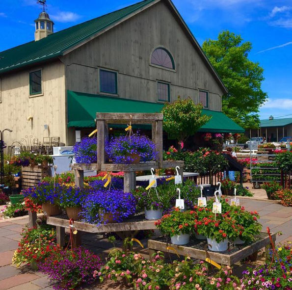 Shady Brook Farm & Rose Bank Winery | Farm outings and winery experiences in Bucks County