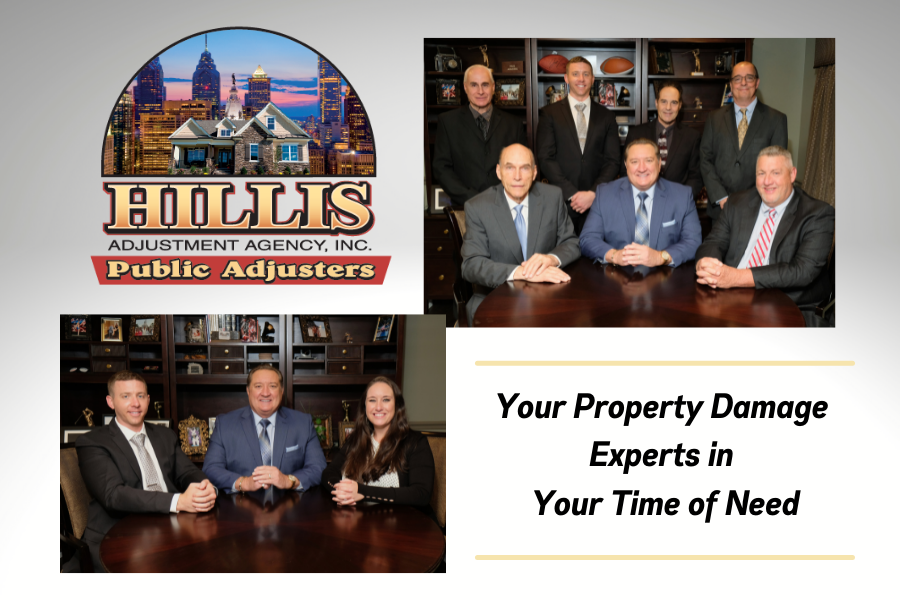 hillis newsletter